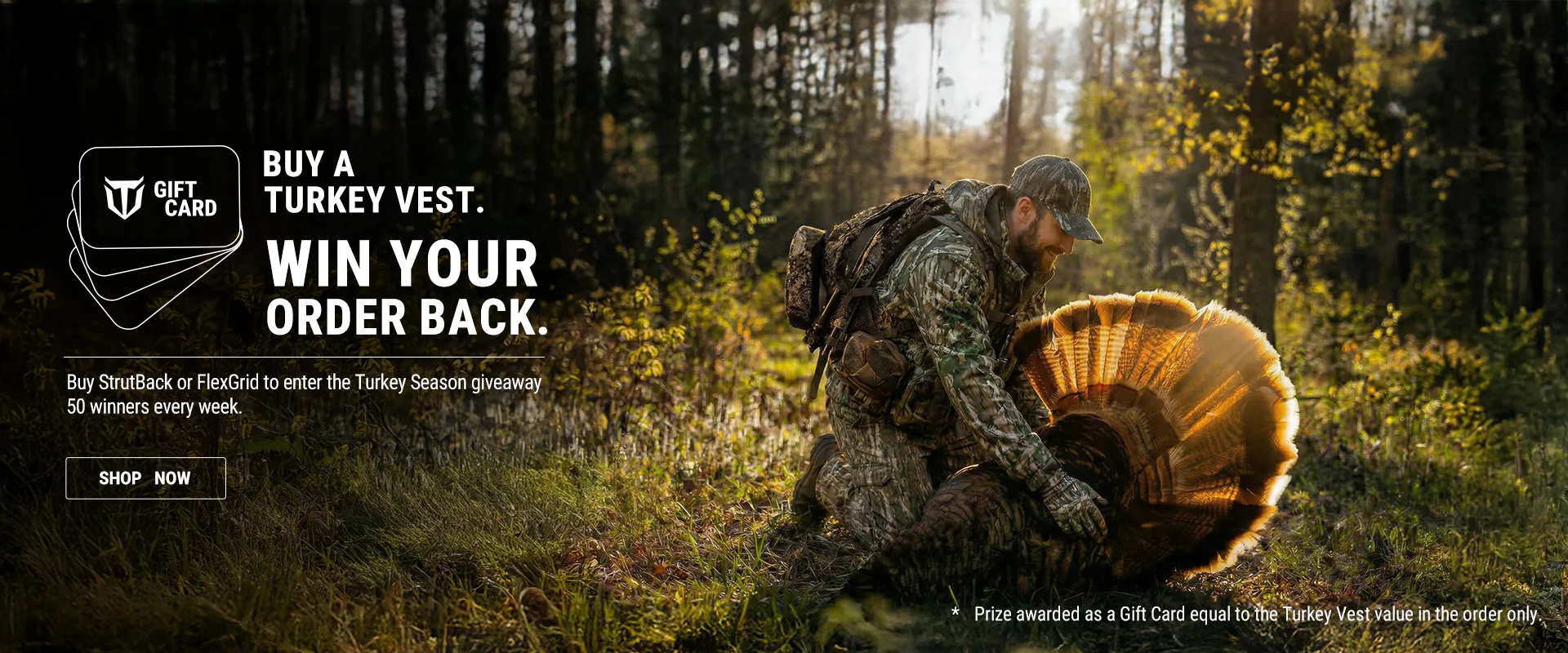 Conquer the Wild with TideWe